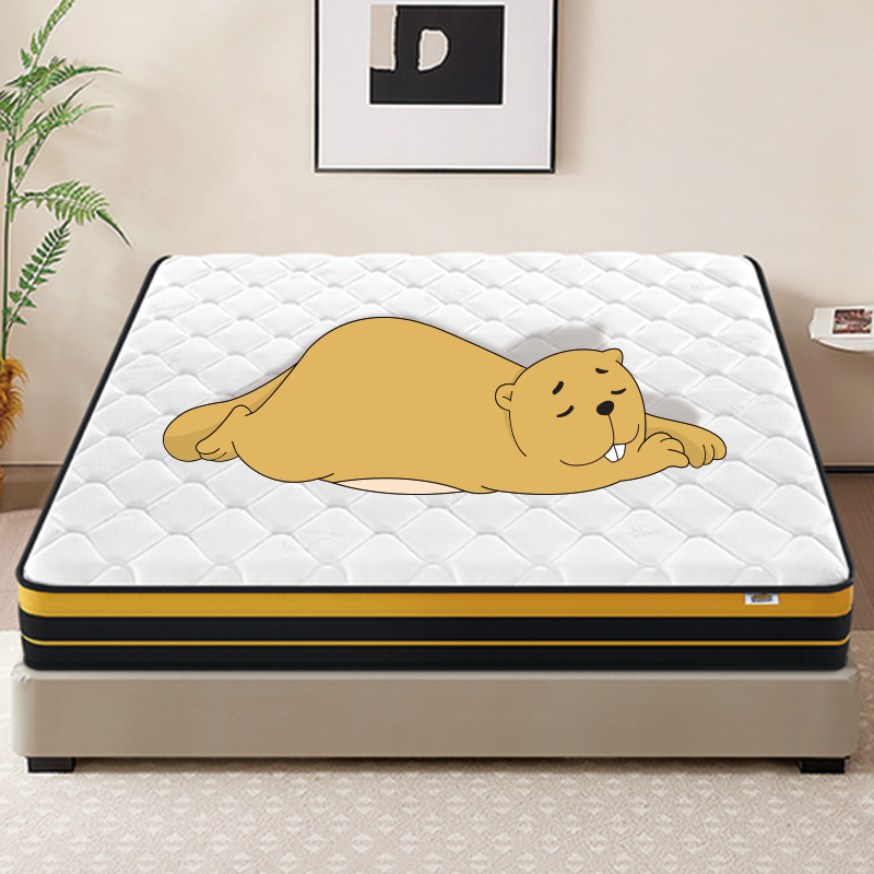 床垫甲醛：不容忽视的睡眠健康隐患，你知道多少？