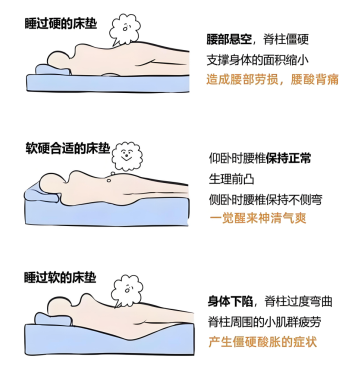 床垫软硬度